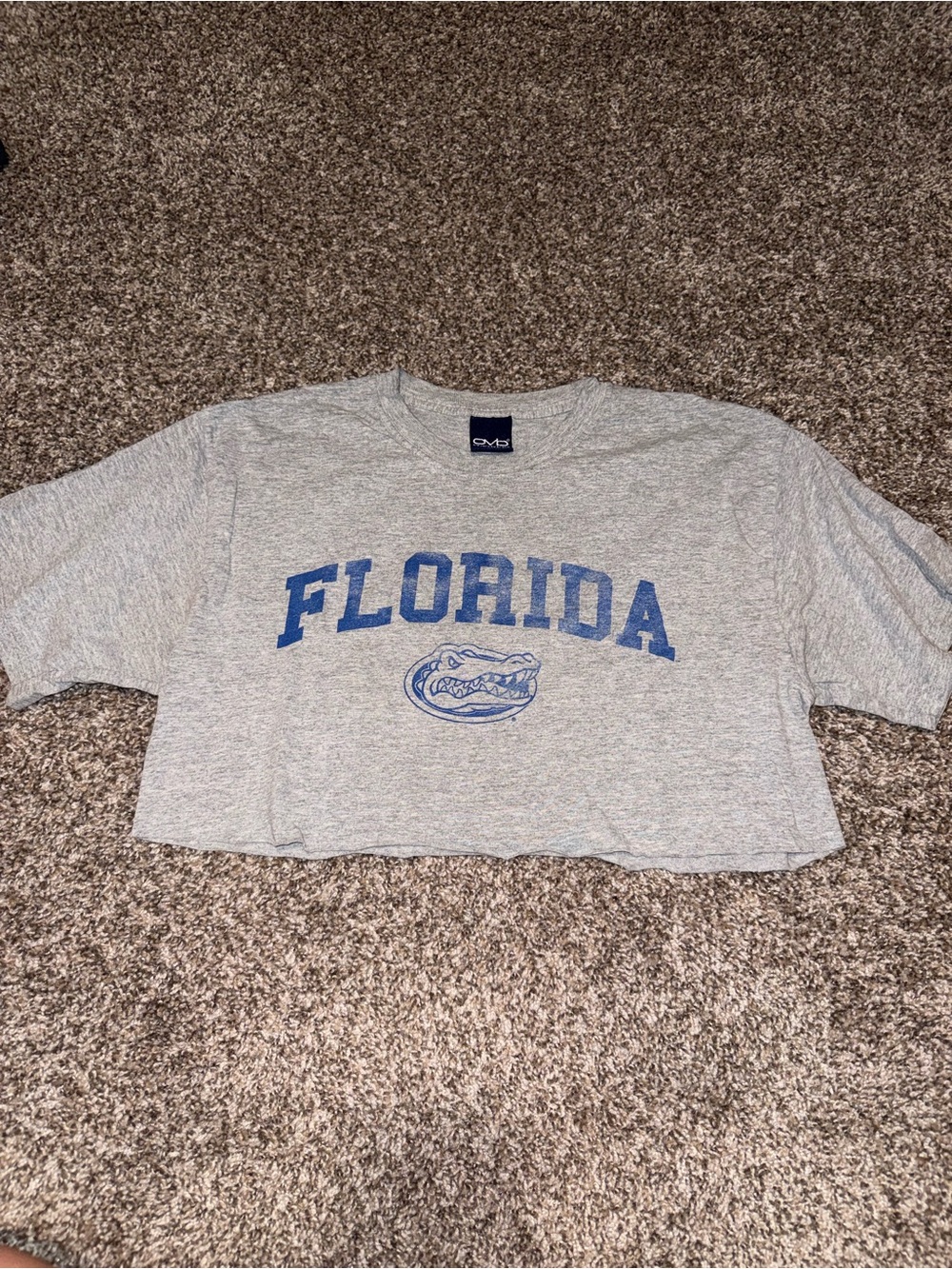 Grey Florida Cropped Short Sleeve Tee